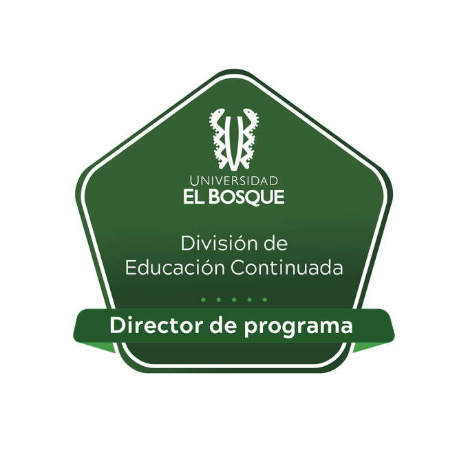 Director de Programa de Educación Continuada